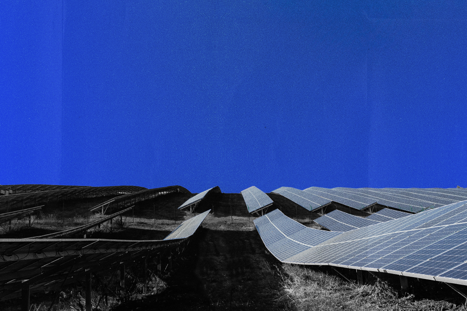A field of solar panels under a blue sky.