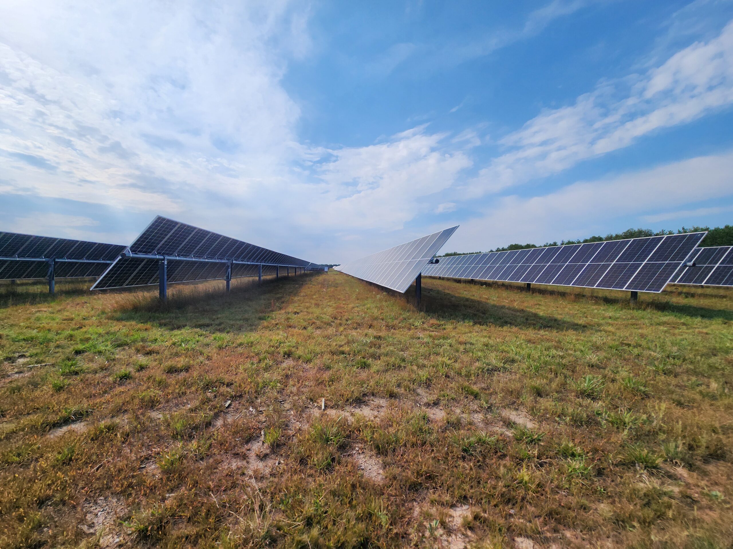 Photo of a field of solar panels from the side, with all the panels pointing up to the clear blue sky.