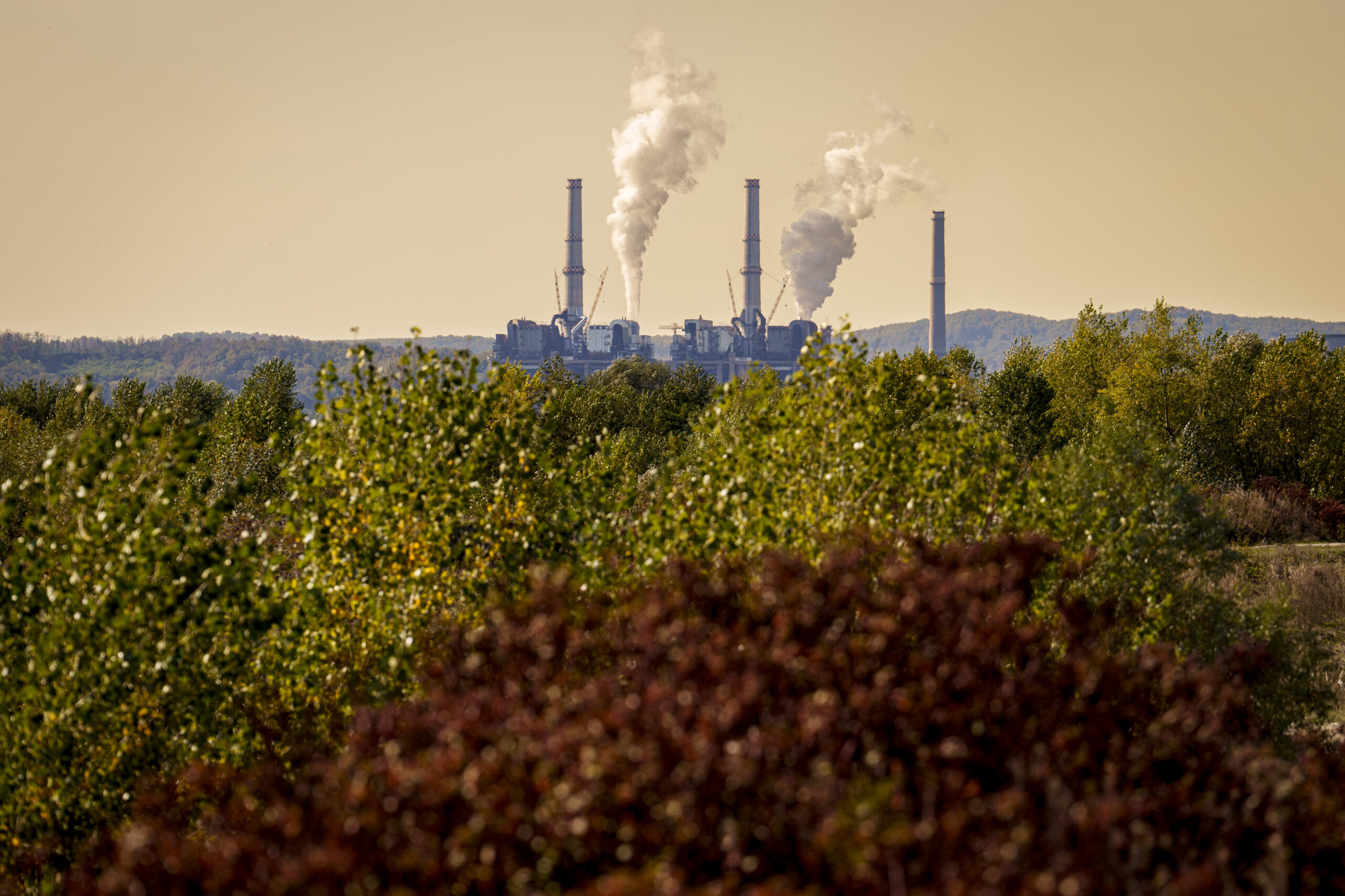 Photo of a coal plant in the distance, with tree tops in the foreground and low mountains in the background.