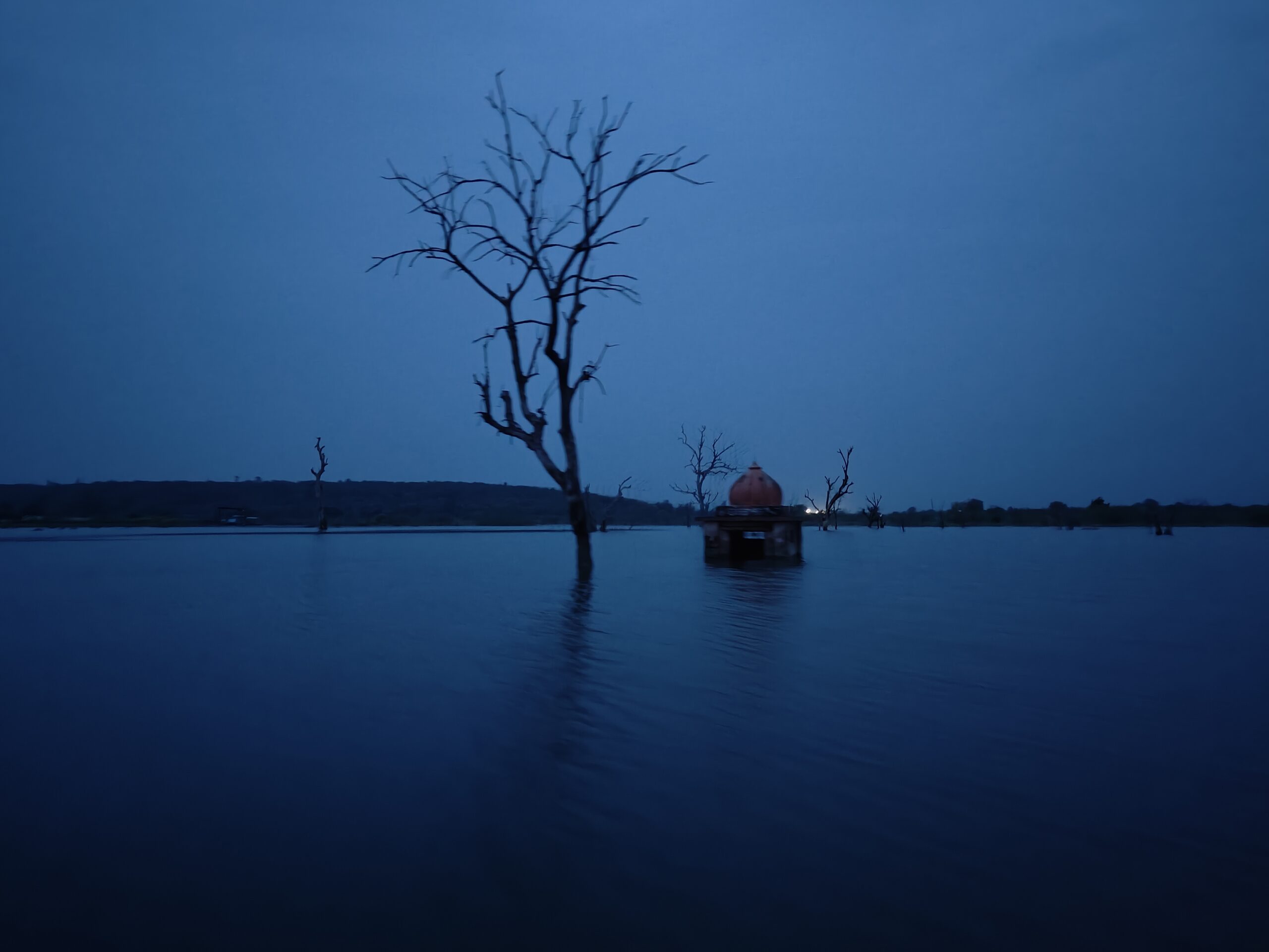 Eerie image at night of a dead tree sticking out of a lake in rural India with the top of a submerged temple visible in the background