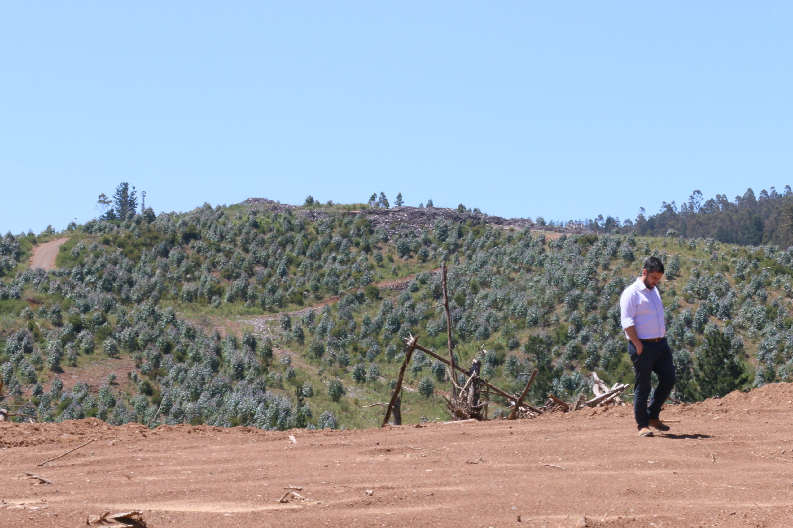 Photograph of a man in a light blue button down shirt examining the orange dirt on an excavated hillside. Broken trees are visible in piles nearby.
