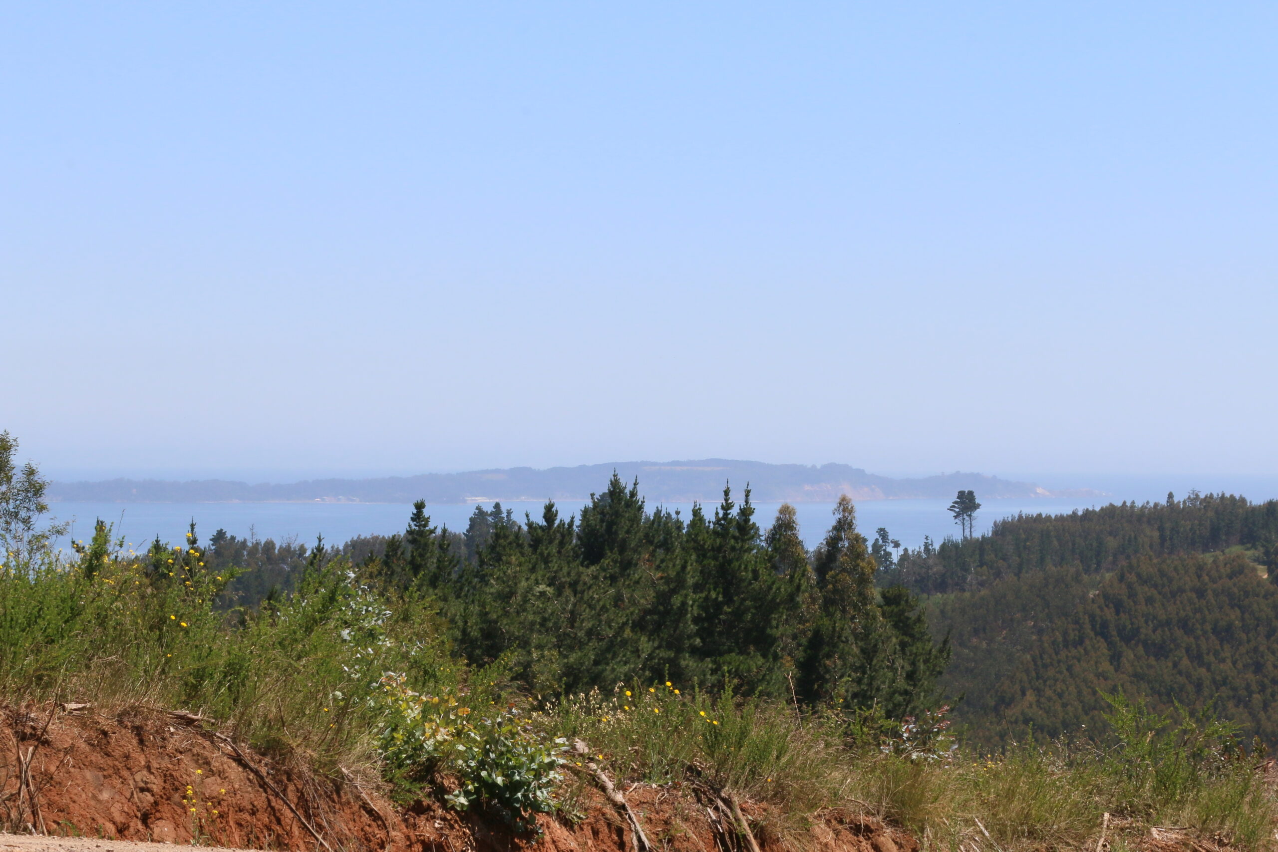 A photo of a rocky coastline, with trees and grasses in the foreground then water and a strip of land off in the distance. The sky is blue and a little bit hazy.