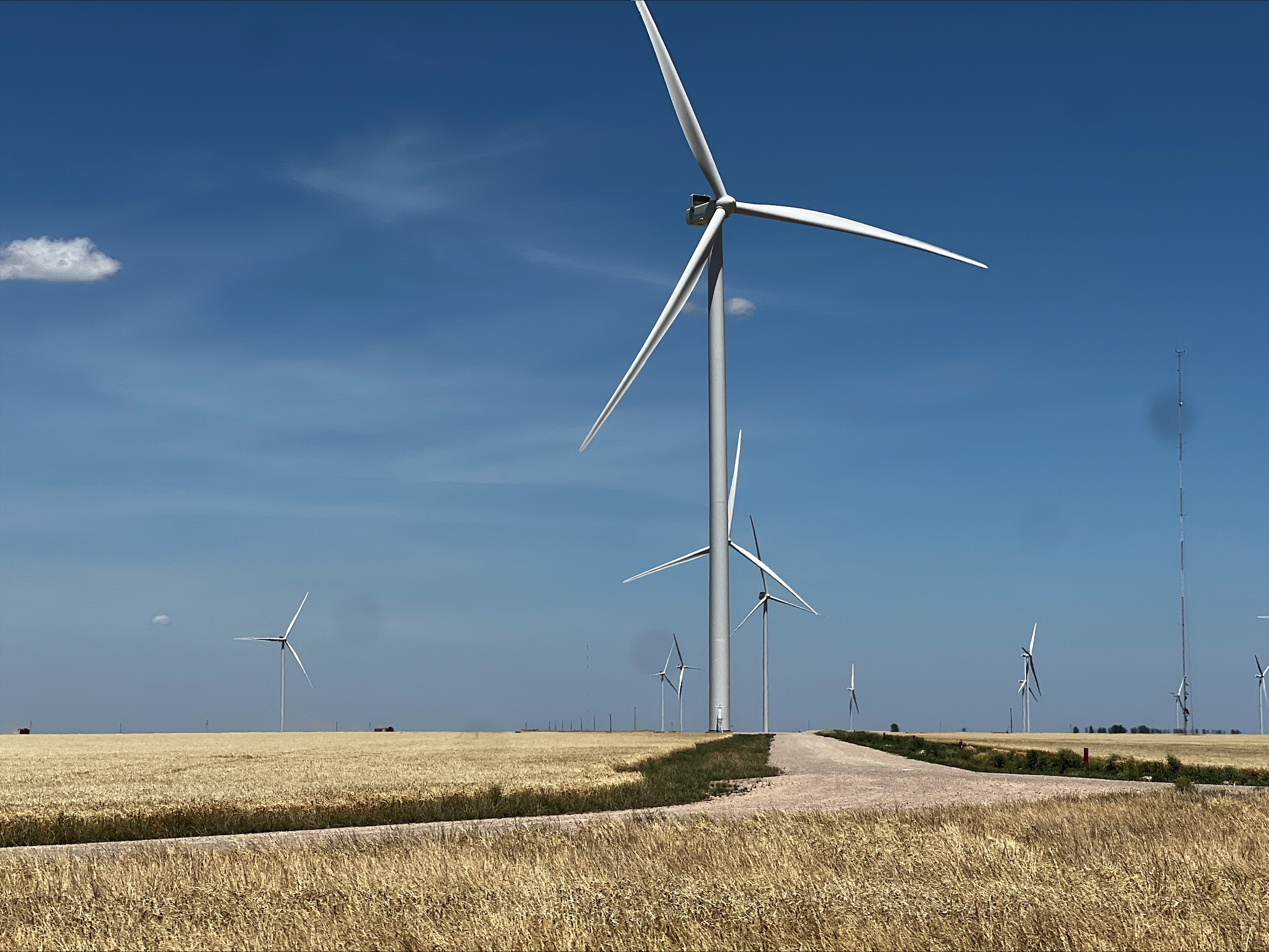 A photo of 7 or more wind turbines stretching across a vast prairie. The sky is blue and the yellow grass is cut short.