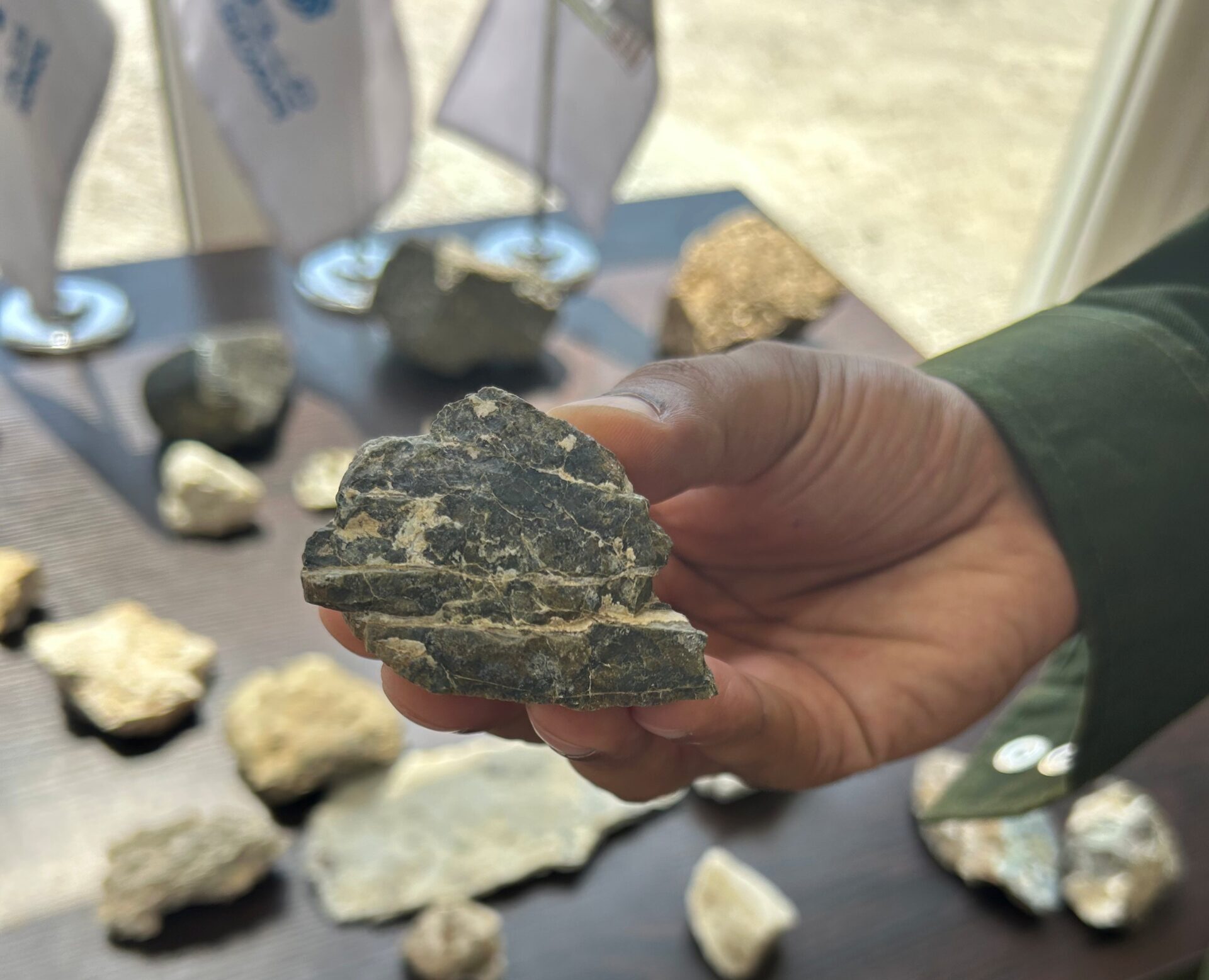 I hold up the magnesium-rich peridotite to examine the white striated lines of carbonate rocks. In the background, you can see other rock samples 44.01 has been studying. Photo by Amena H. Saiyid, May 5, 2025.